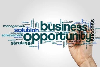 10 Lucrative Business Opportunities you can start with 100k in Nigeria