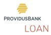 How to get a loan from Providus Bank