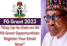 Complete List of Ongoing Nigerian Federal Government FGN and CBN Loans and Grants for 2023