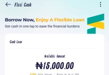 How to Borrow Money From Palmpay App Easily