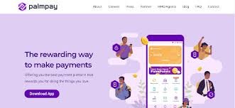 PalmPay Flexi Cash, Invitation Code, Staff, Repayment