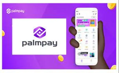 PalmPay Customer Care: Phone Number, Whatsapp Number, Email Address and PalmPay Contact Address