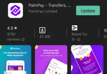 PalmPay USSD Code to Transfer Money