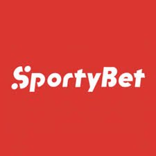 Forgot My Sportybet Password And Pin - How To Reset, Change And Recover Sportybet Password And Pin