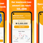 Nice Naira Loan App Download, is NiceNaira Legit? Interest Rates, How to Apply